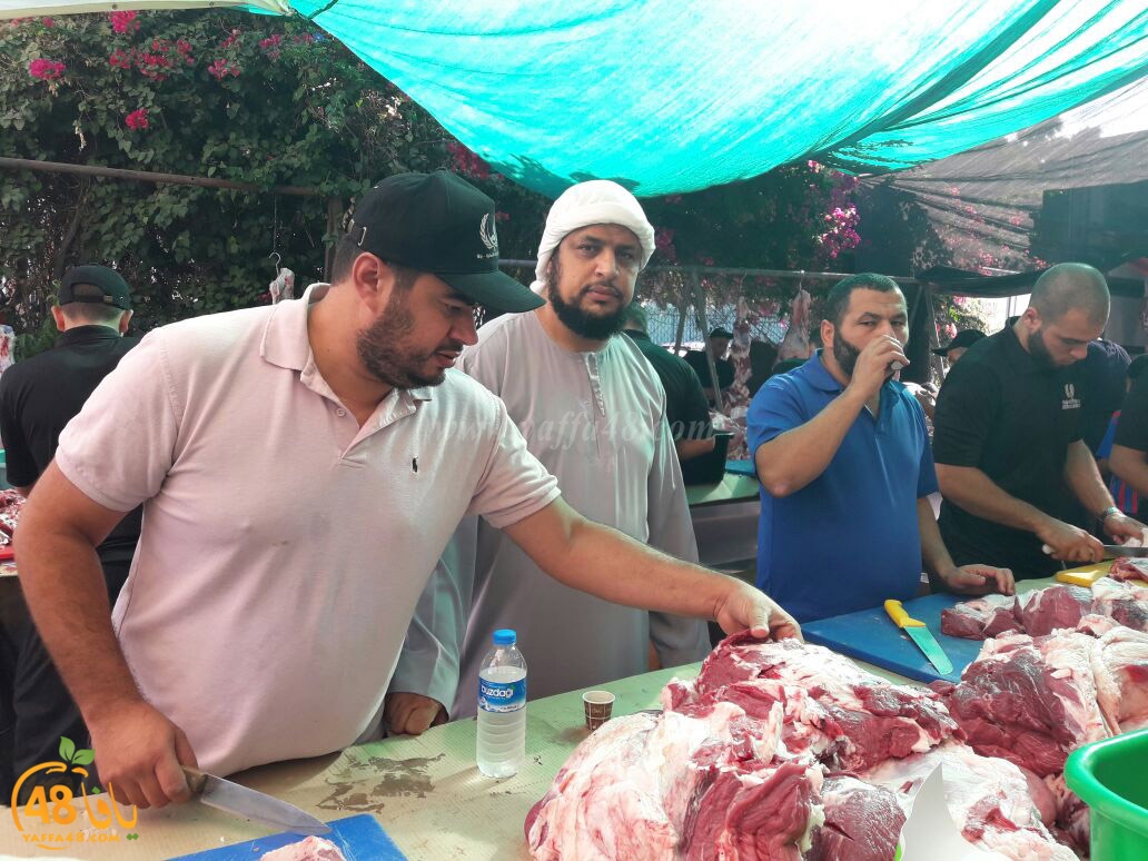 lod8om ada73y (64).jpg